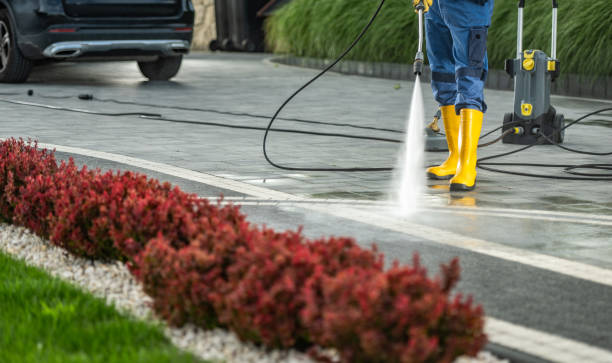 Best Roof Washing  in Seville, FL
