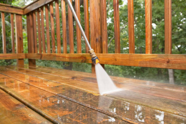 Best Solar Panel Cleaning  in Seville, FL